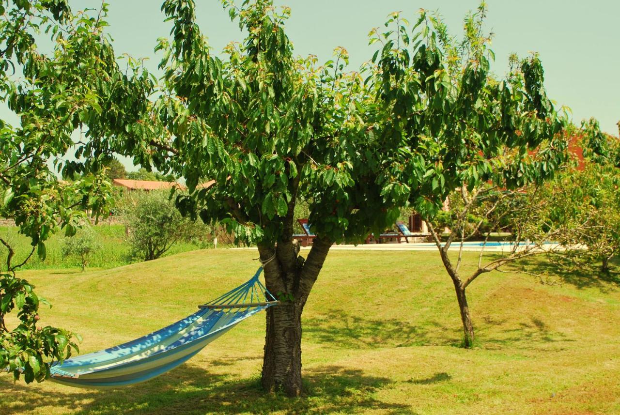 Villa Dorina Barban Bagian luar foto