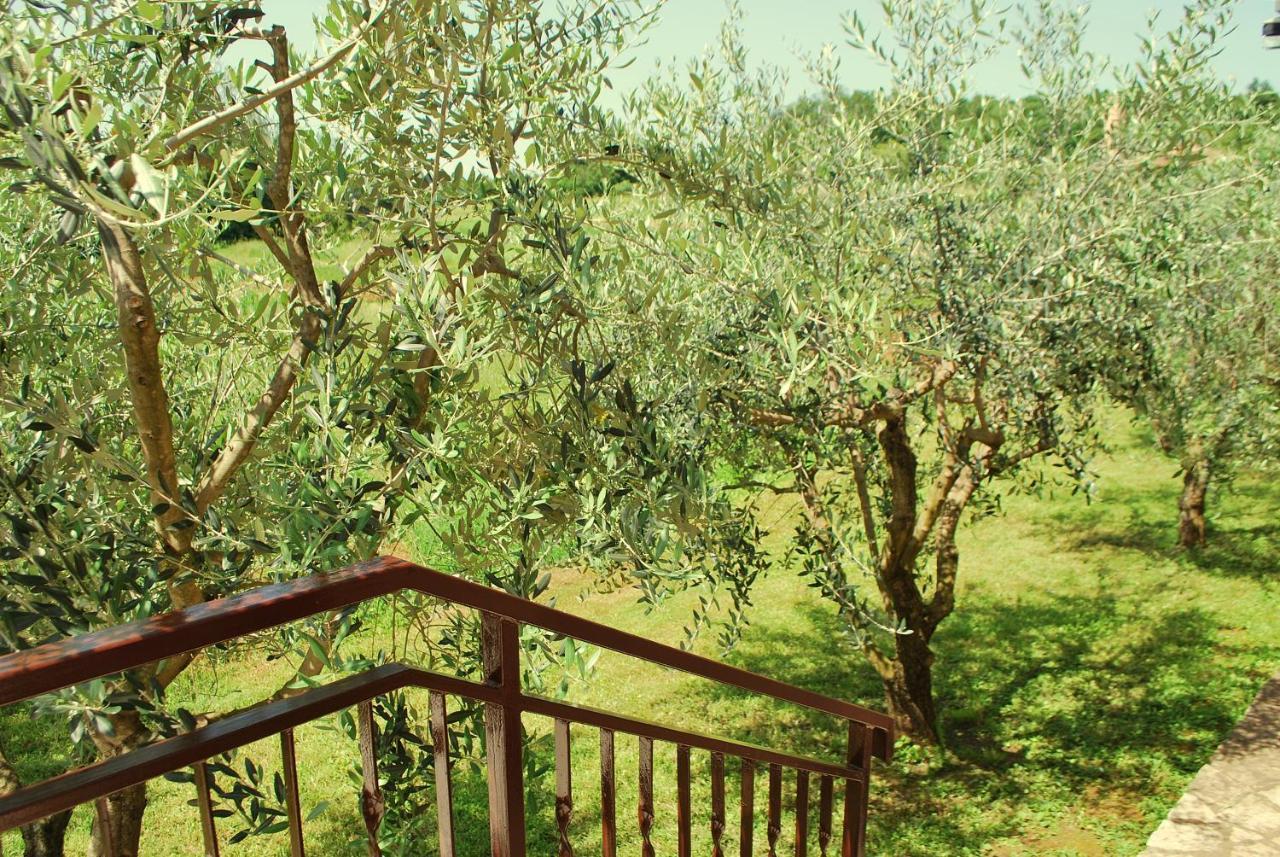 Villa Dorina Barban Bagian luar foto