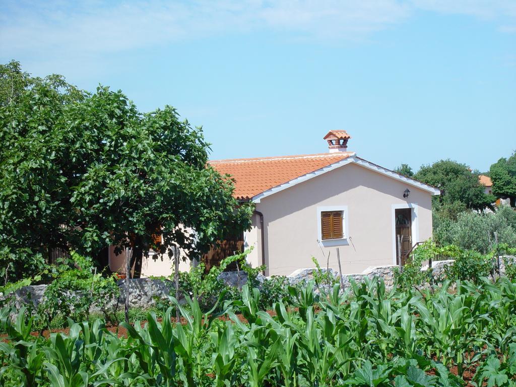 Villa Dorina Barban Ruang foto
